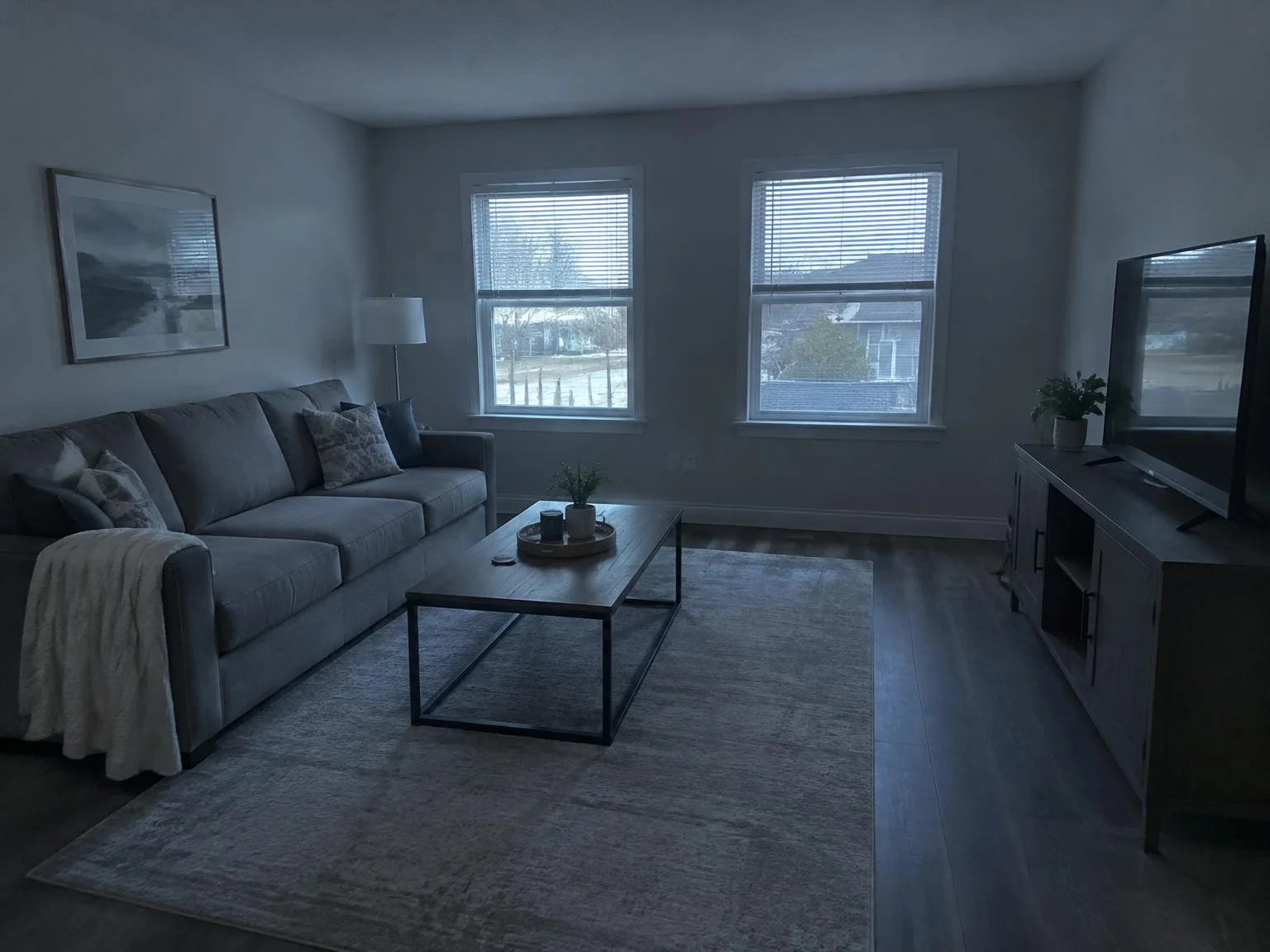 Before enhancement: dark, bluish living room photo